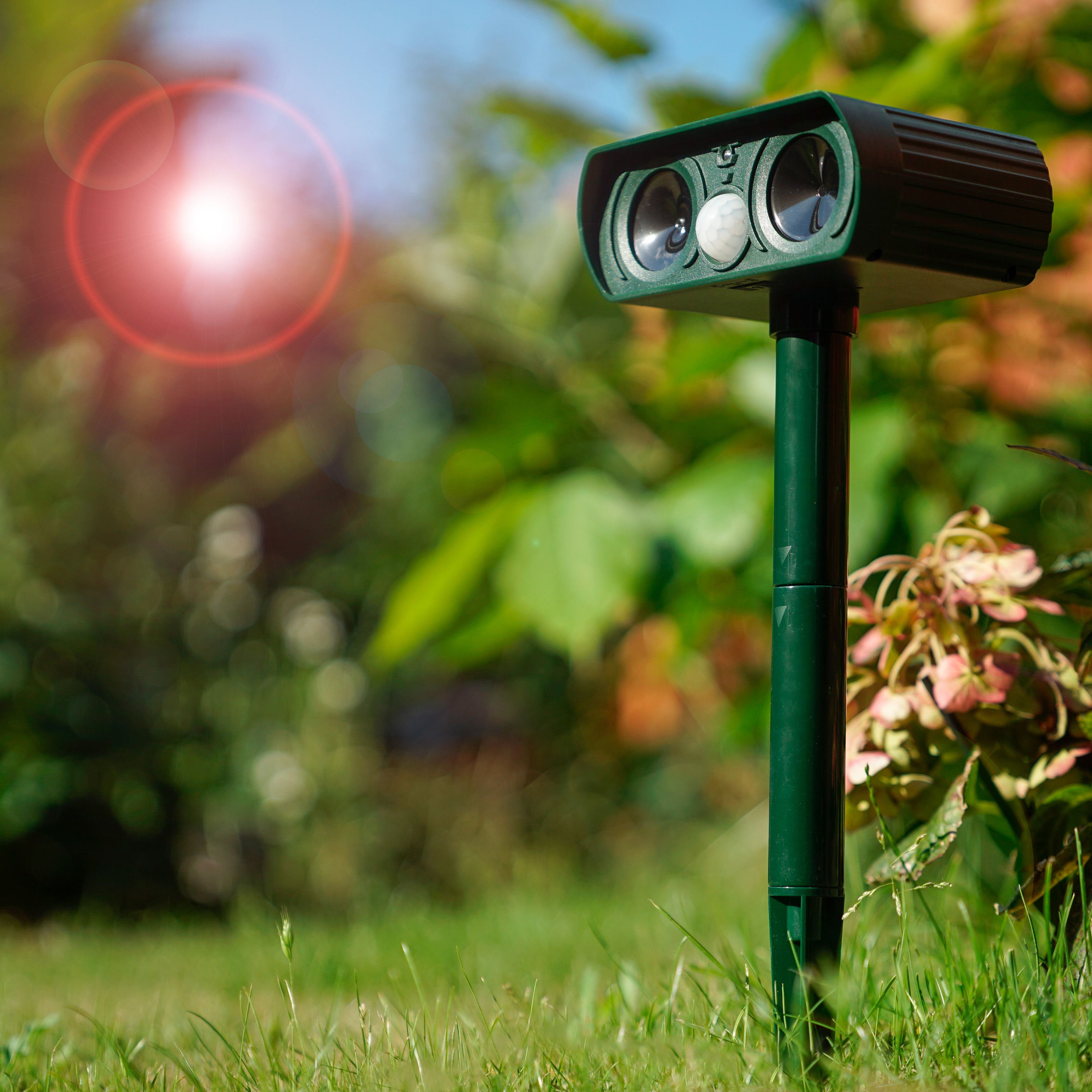 60064-Solar-Tier-Abwehr-Dual-Solarpanel-Dual-Lautsprecher Durch den Akkubetrieb arbeitet das Gerät Tag und Nacht. Am Tag werden die Akkus durch das Solarpanel wieder geladen.