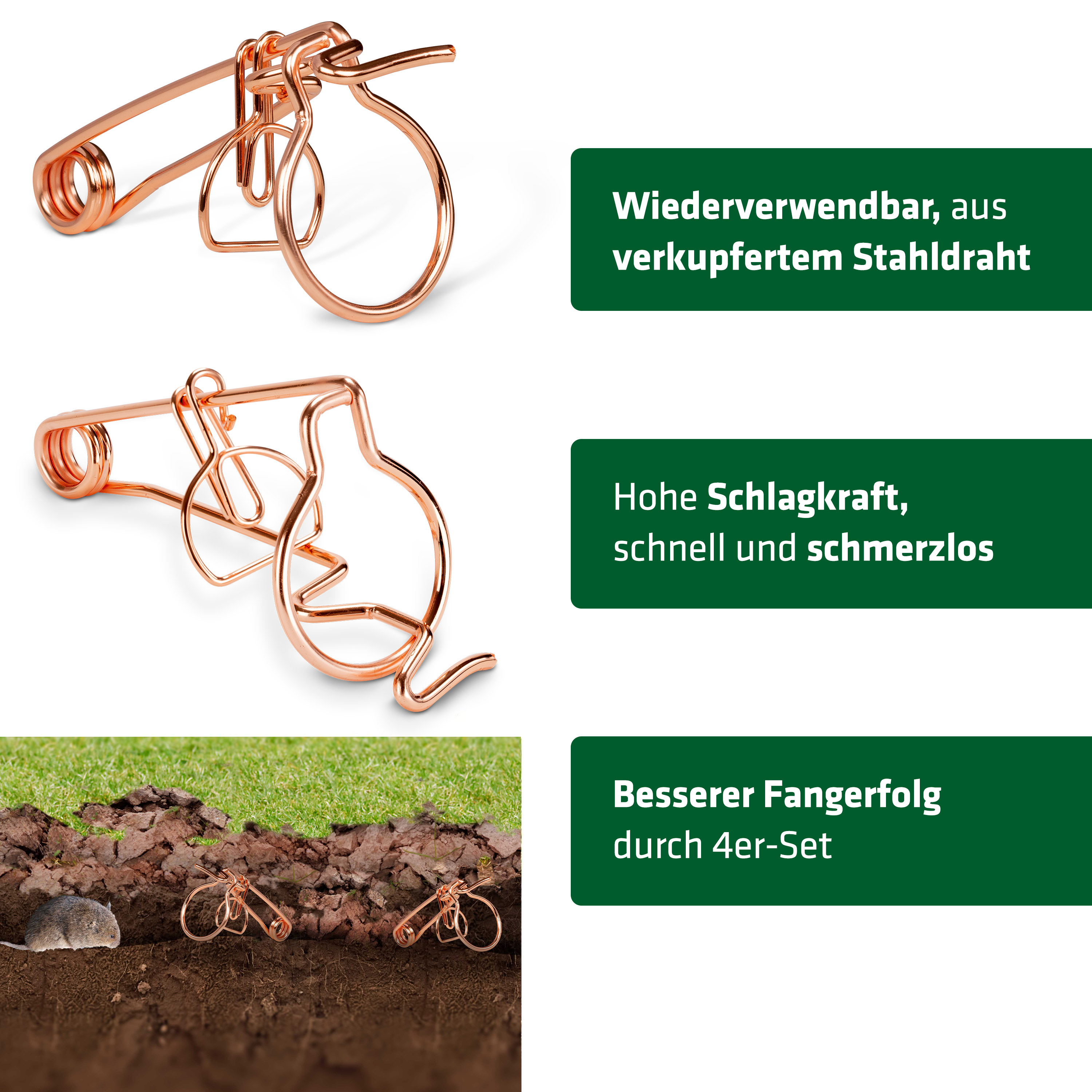 Der Großteil der Gänge von Wühlmäuse lauft direkt und dem Rasen und dort können Sie auch die Fallen einsetzen. 