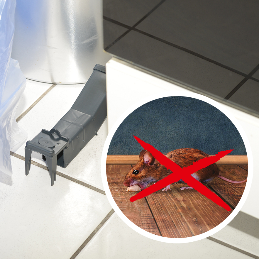 62350-Wipp-Mausefalle-Haushalt-Kueche Wilde Mäuse gehören nicht in den Haushalt und besonders nicht in Räume mit Lebensmitteln, wie die Küche oder den Vorratsraum.