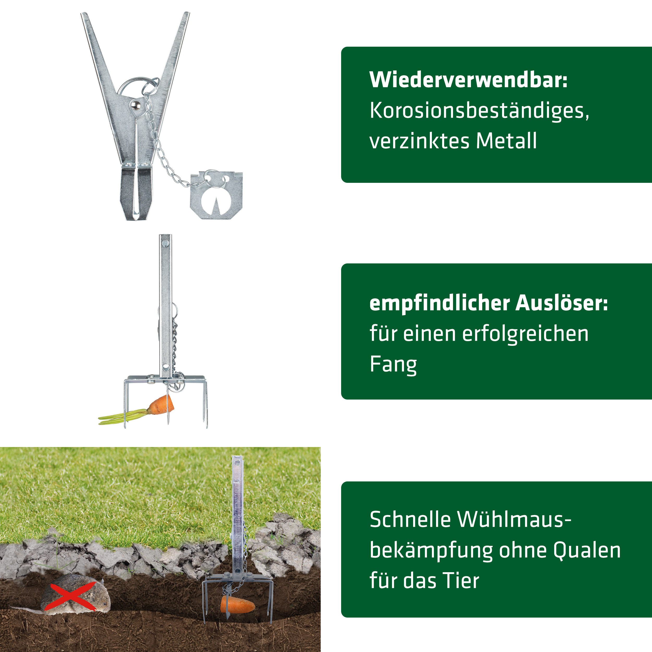 wuehmauszange-keyfacts-70074 Die Wühlmauszange wird mit einem Köder versehen und sobald die Wühlmaus daran nagt schnappt die Falle zu.