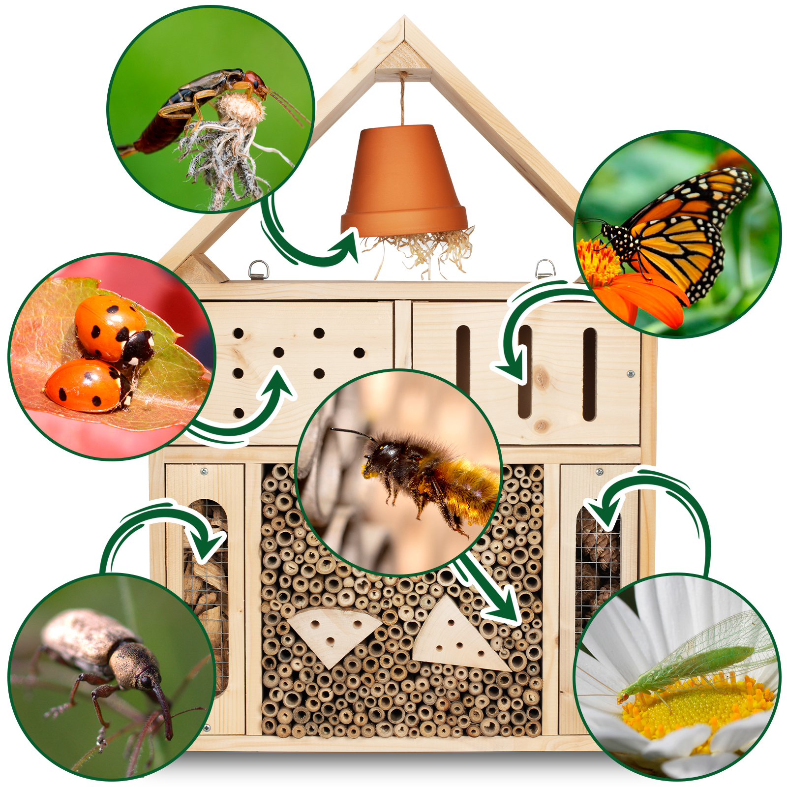 92310-Insektenhotel-XXL-Schmetterlinghaus-Wildbienen-Haus Von Marienkäfer bis Schmetterling – alle Nützlinge haben ein Zuhause.