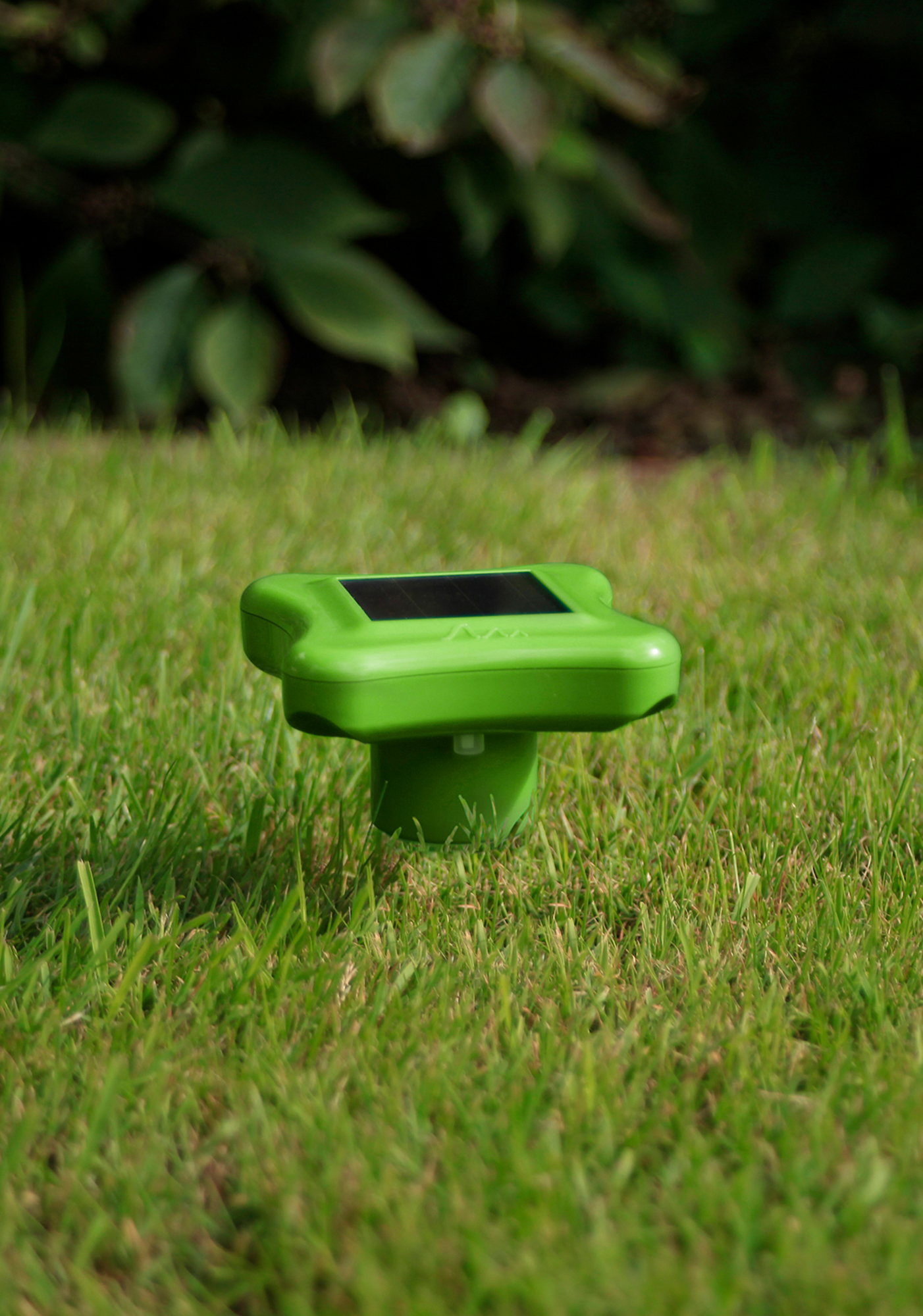 Répulsif taupe en action