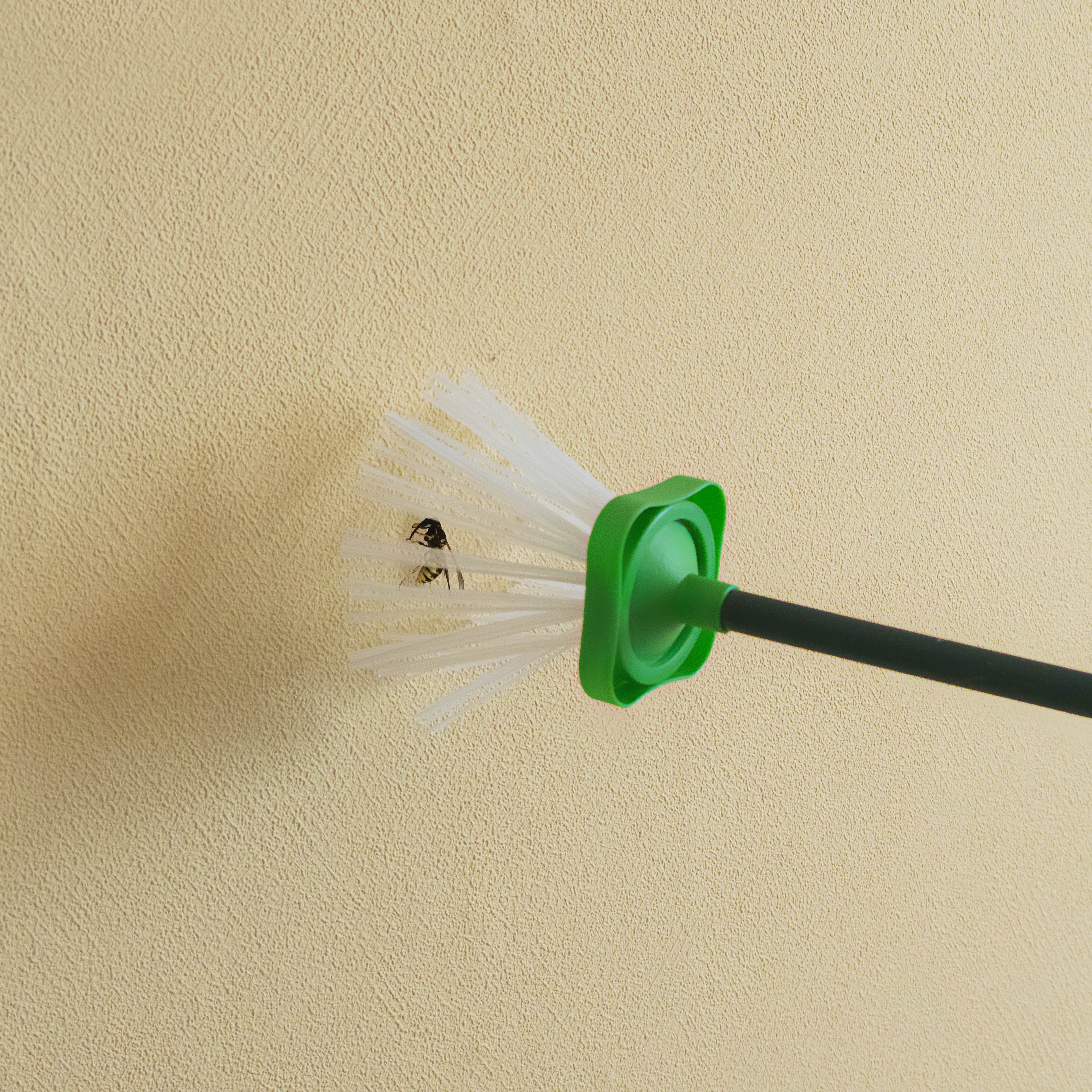 66976-Spinnen-Faenger-grosse-Spinnen-im-Haus-fangen Sie können damit auch andere Insekten aus sicherer Entfernung fangen und nach Draußen bringen.