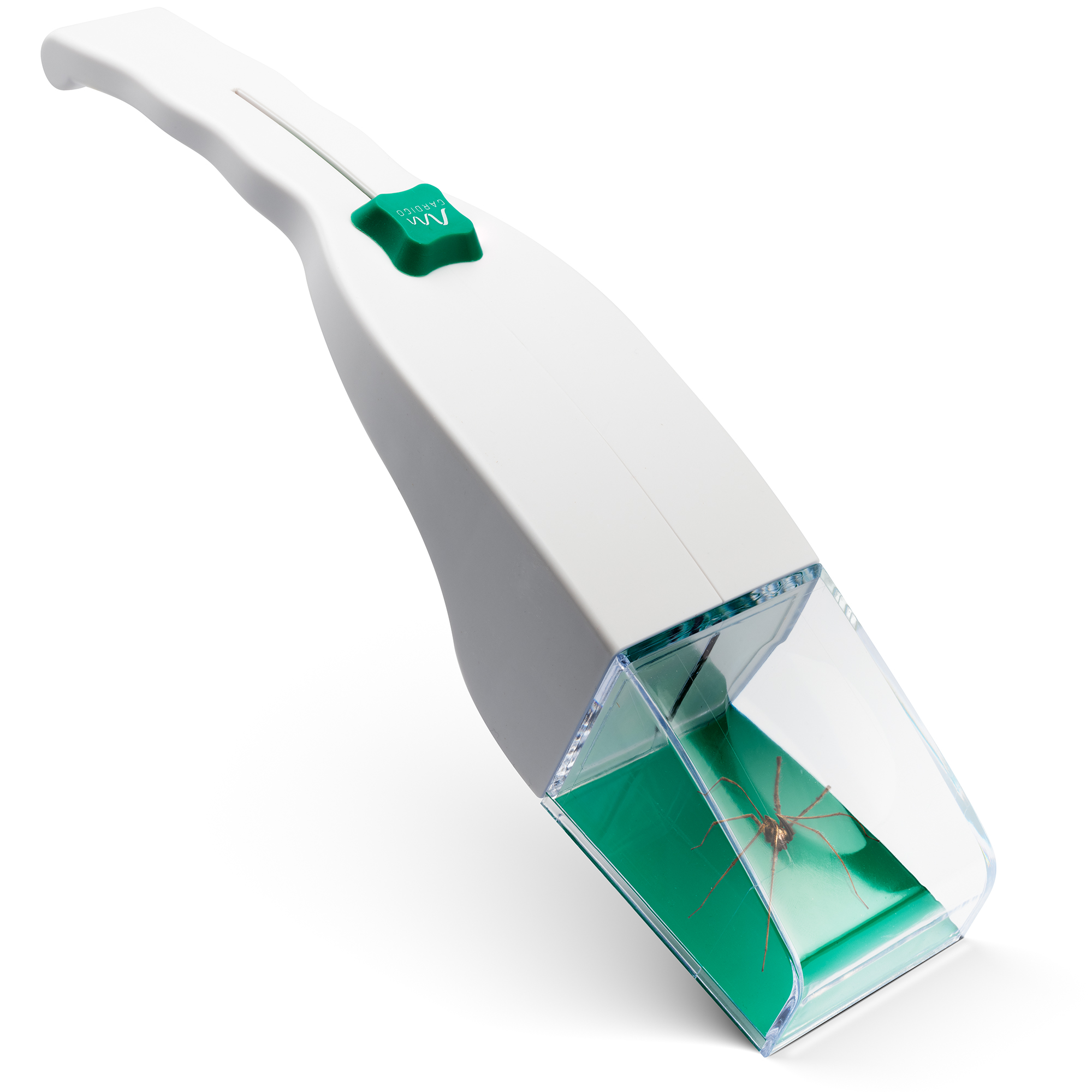 Insektenfänger | mit Lupe | Insekten lebend fangen | groß