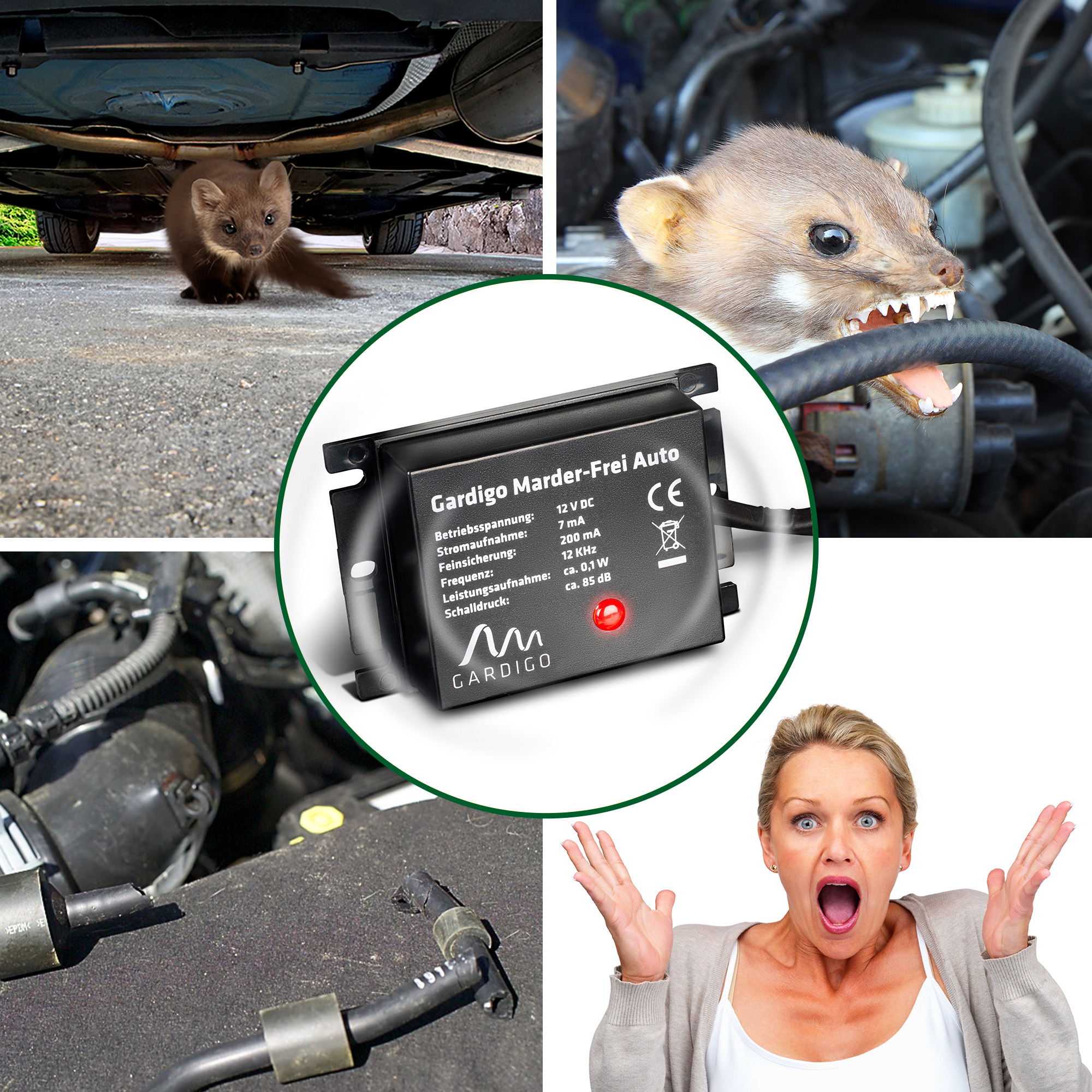 78405-Marder-Frei-Auto-Kabel-Aas Aas, Dreck, kaputte Kabel und ein fauliger Geruch sind einige Dinge, die niemand an seinem Auto finden möchte.