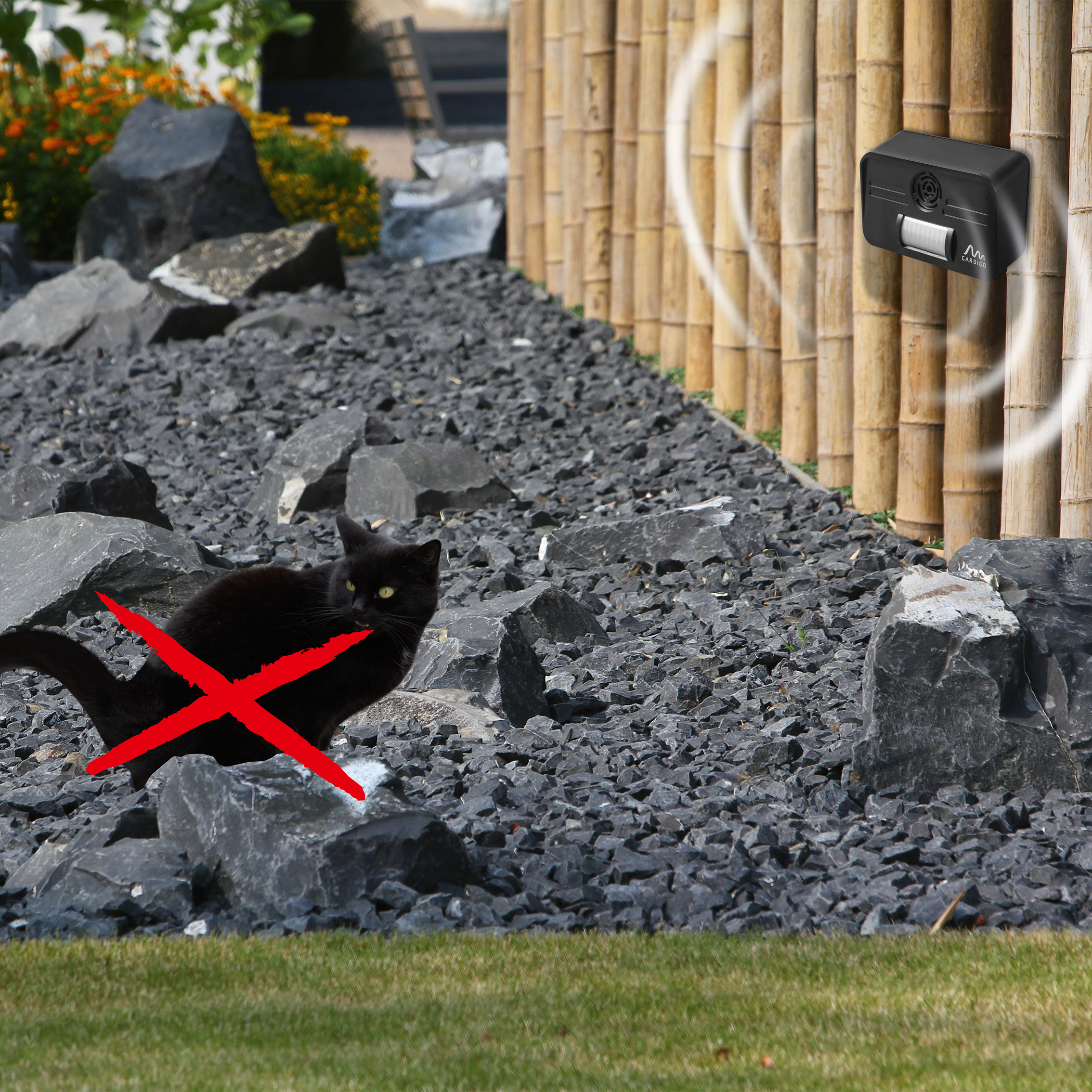 katzen-im-garten-vertreiben-60062