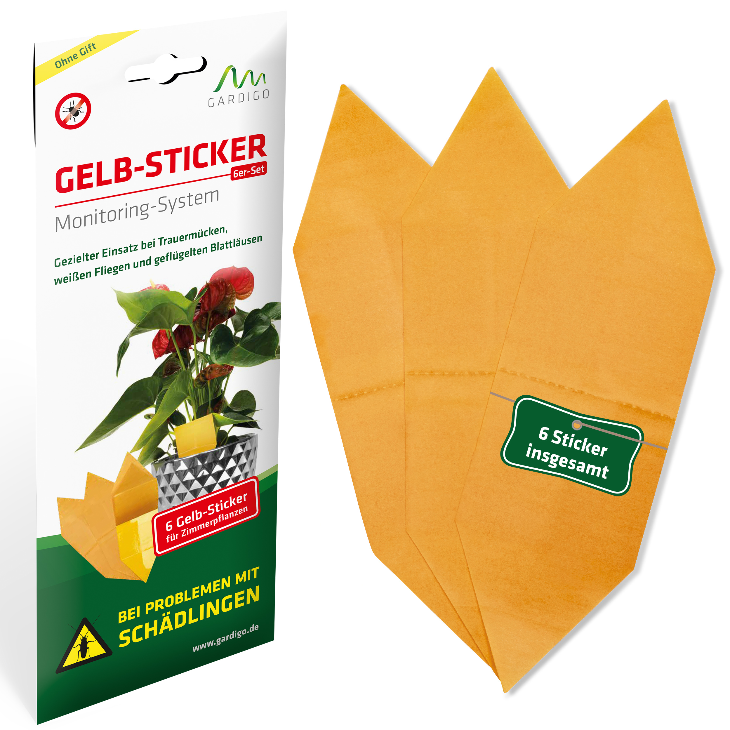 Die Gelbtafeln werden einfach in einen Pflanztopf gesteckt. Erst dann zieht man die Schutzfolie ab.