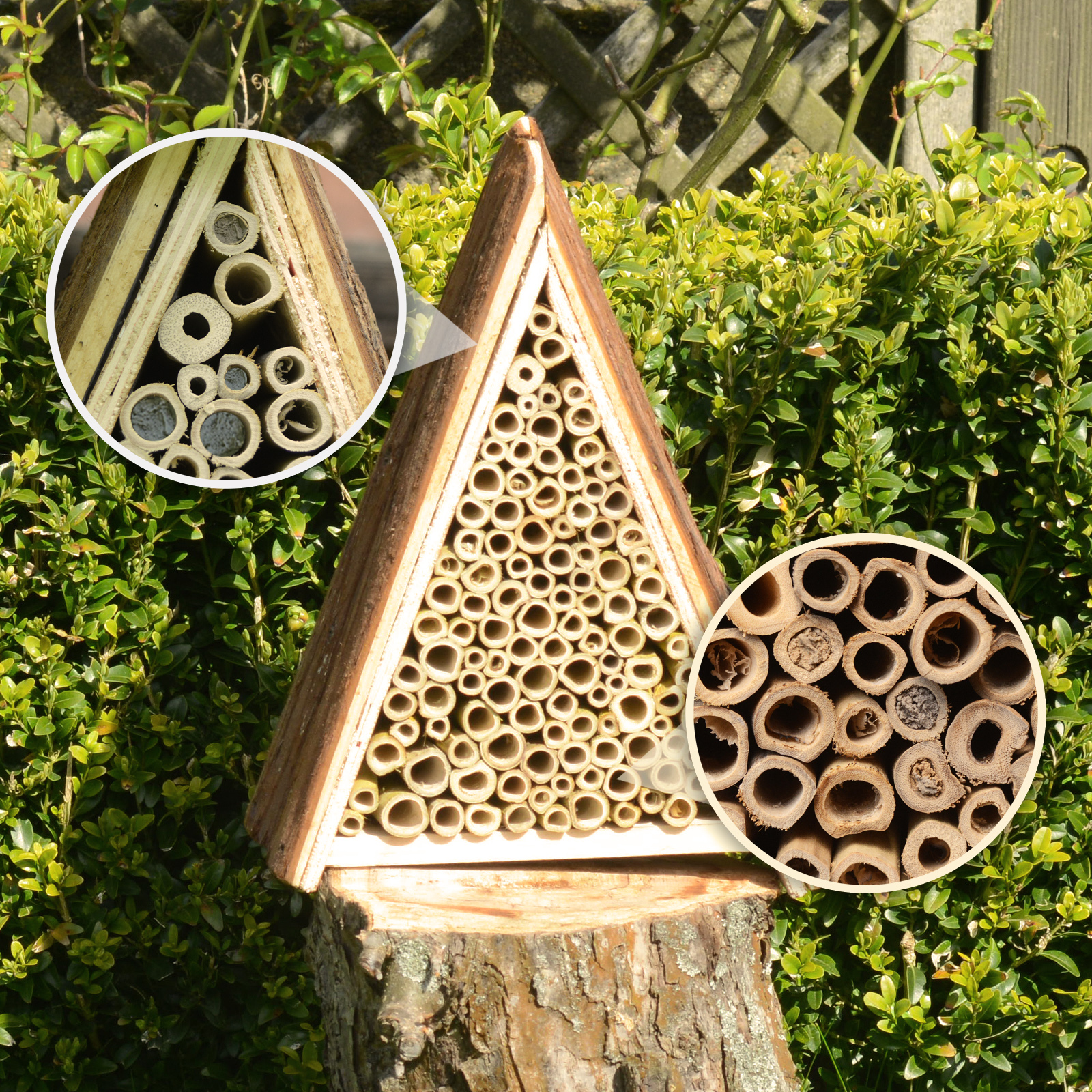 Die Bienen werden im April wieder aktiv und fangen dann an Stein- und Kernobst sowie Erdbeeren zu bestäuben. 