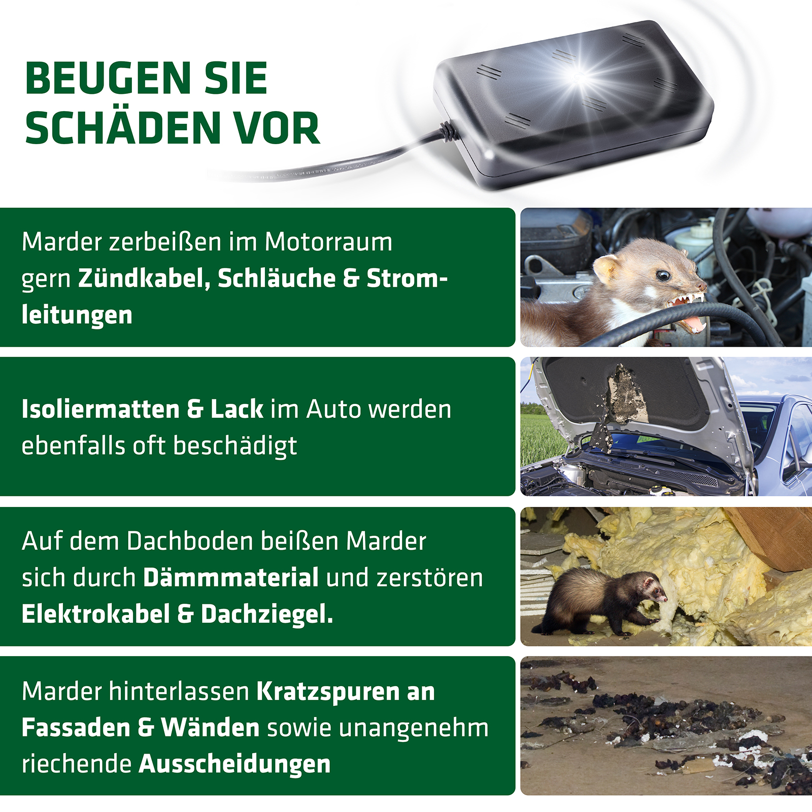 marderschaden-vorbeugen-schadensbild-90160