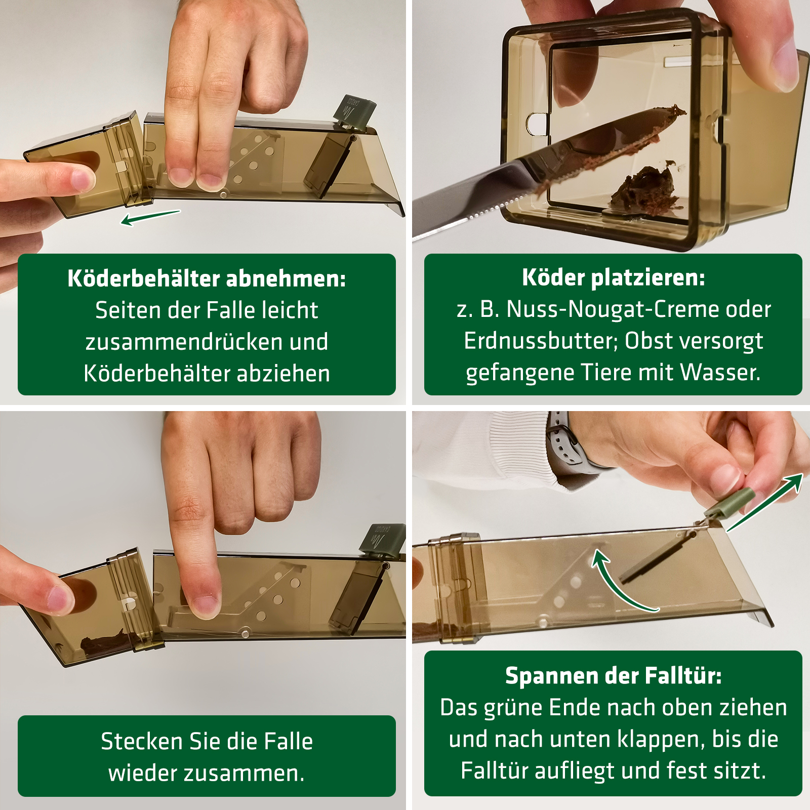 62358-Maus-Lebendfalle-Koederbehaelter-trennbar Einfache Anwendung der Mausefalle zum lebend fangen