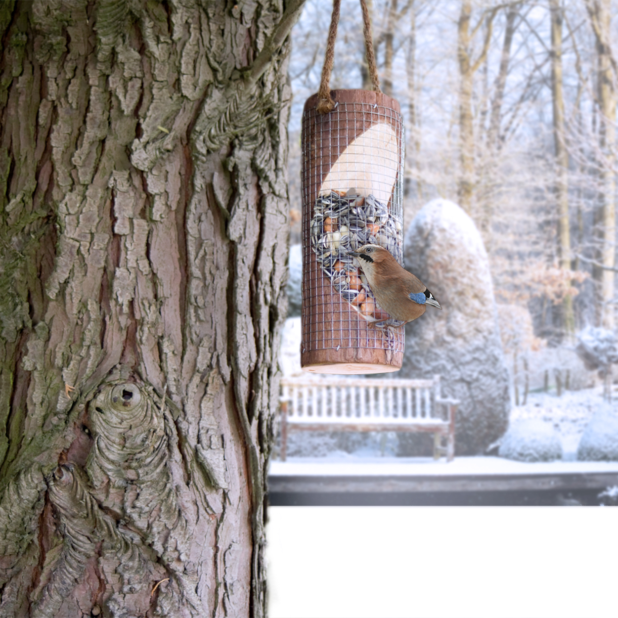 90581-Vogelfuttersaeule-Vogelfuetterung-im-Winter Mit einer bunten Körnermischung locken Sie viele verschiedene Vogelarten in Ihren Garten.