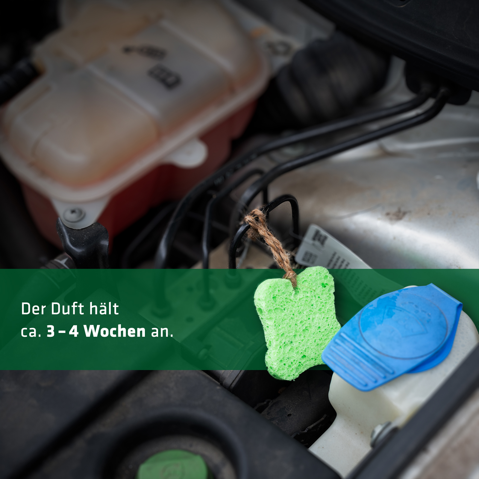 Der Duft des Marderabwehr-Sprays hält ca. 3–4 Wochen.
