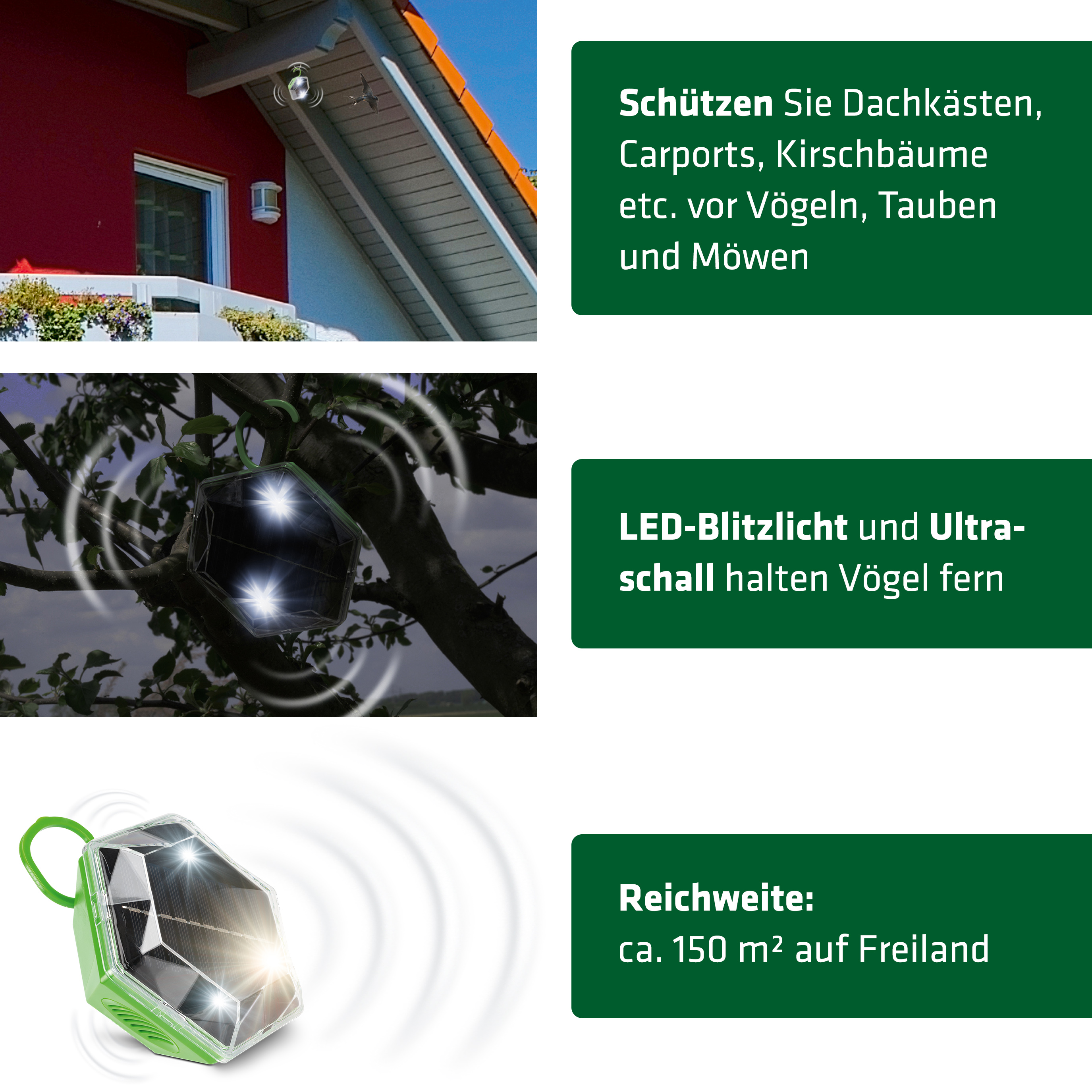 voegel-vertreiben-ultraschall-blitzlicht-70600 Vögel vertreiben mit Ultraschall und Blitzlicht