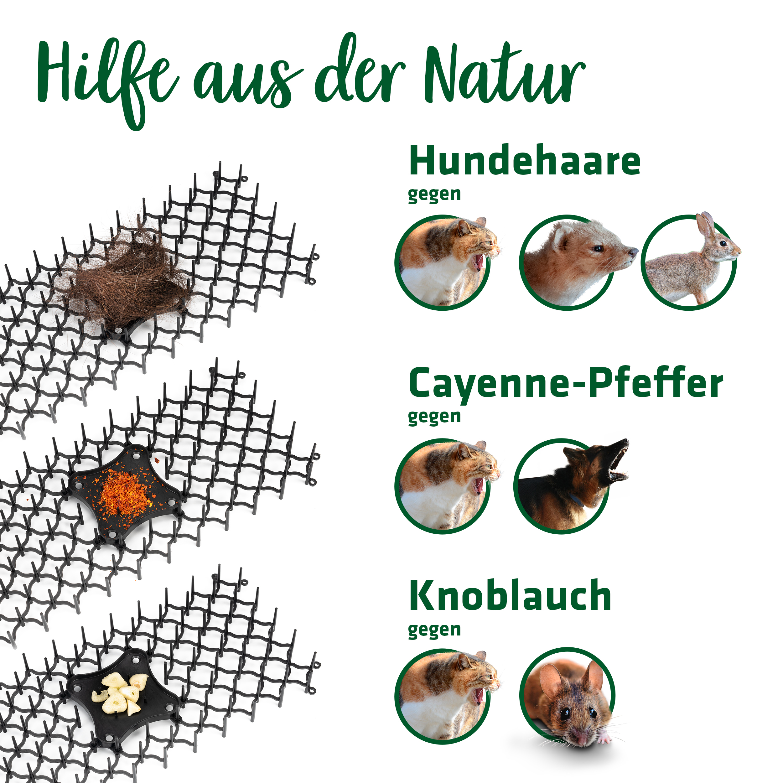 Hausmittel_zur_Tiervertreibung_mit-Duft_600416 Hausmittel gegen Hunde, Katzen, Marder, Kaninchen & Mäuse