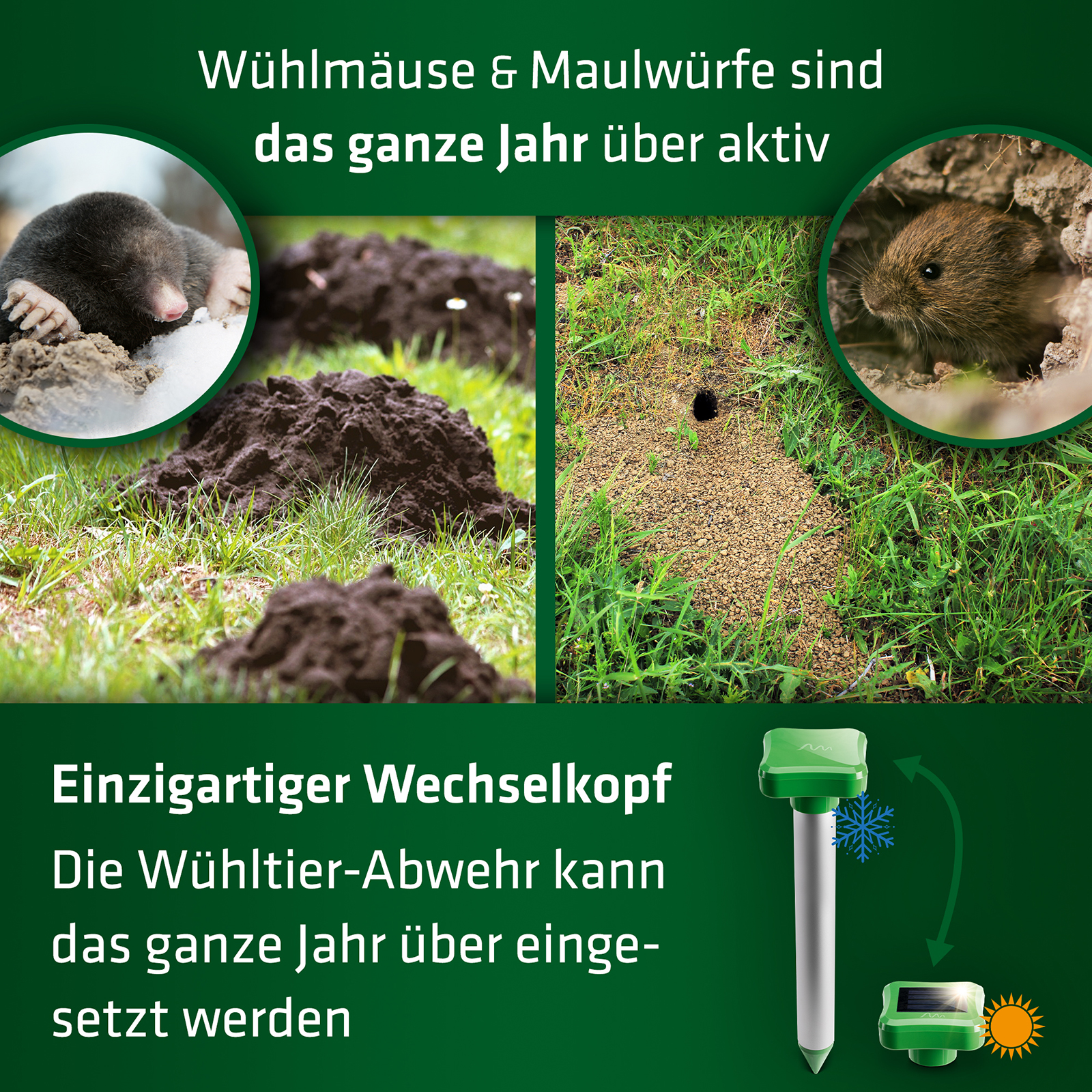 wuehlmaeuse-maulwuerfe-vertreiben-70061 Gegen Maulwürfe und Wühlmäuse, die Wühltier-Abwehr Vier Jahreszeiten von GARDIGO