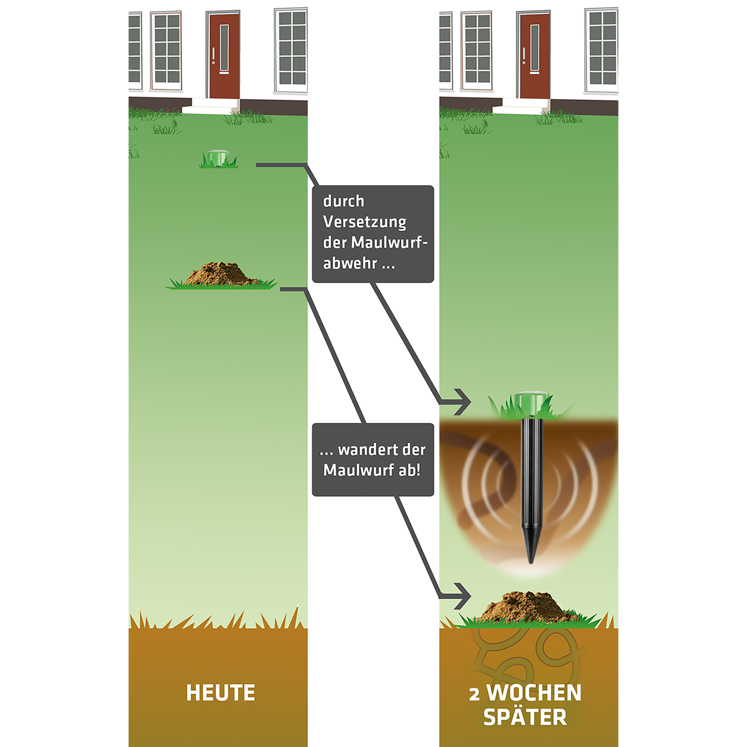 Um die Nager von Ihrem Gründstück zu vertreiben sollten Sie die Geräte schrittweise von Ihrem Haus entfernt einsetzen. 