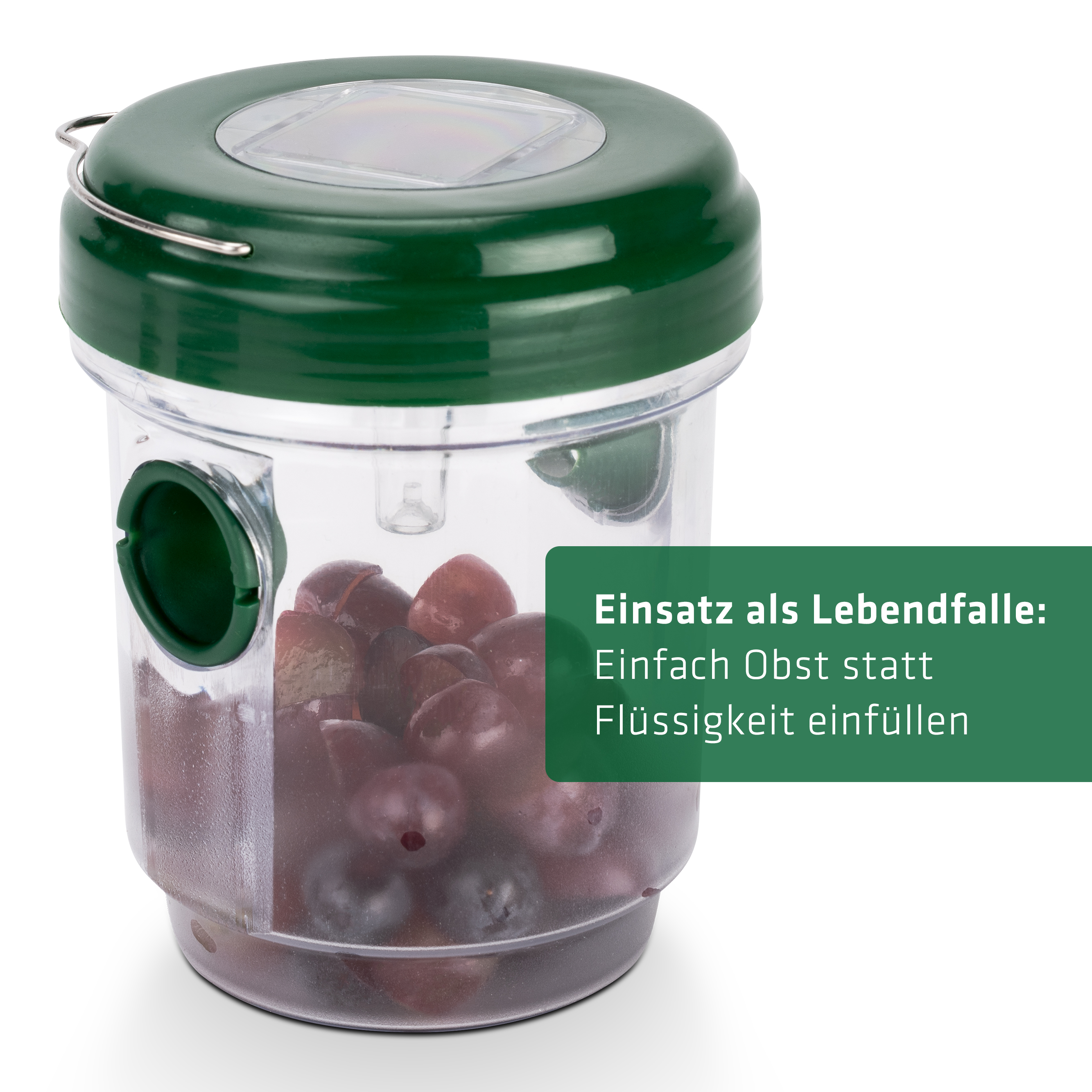 66643-Solar-Insektenfalle-Lebend-fangen Lebendfalle gegen Wespen