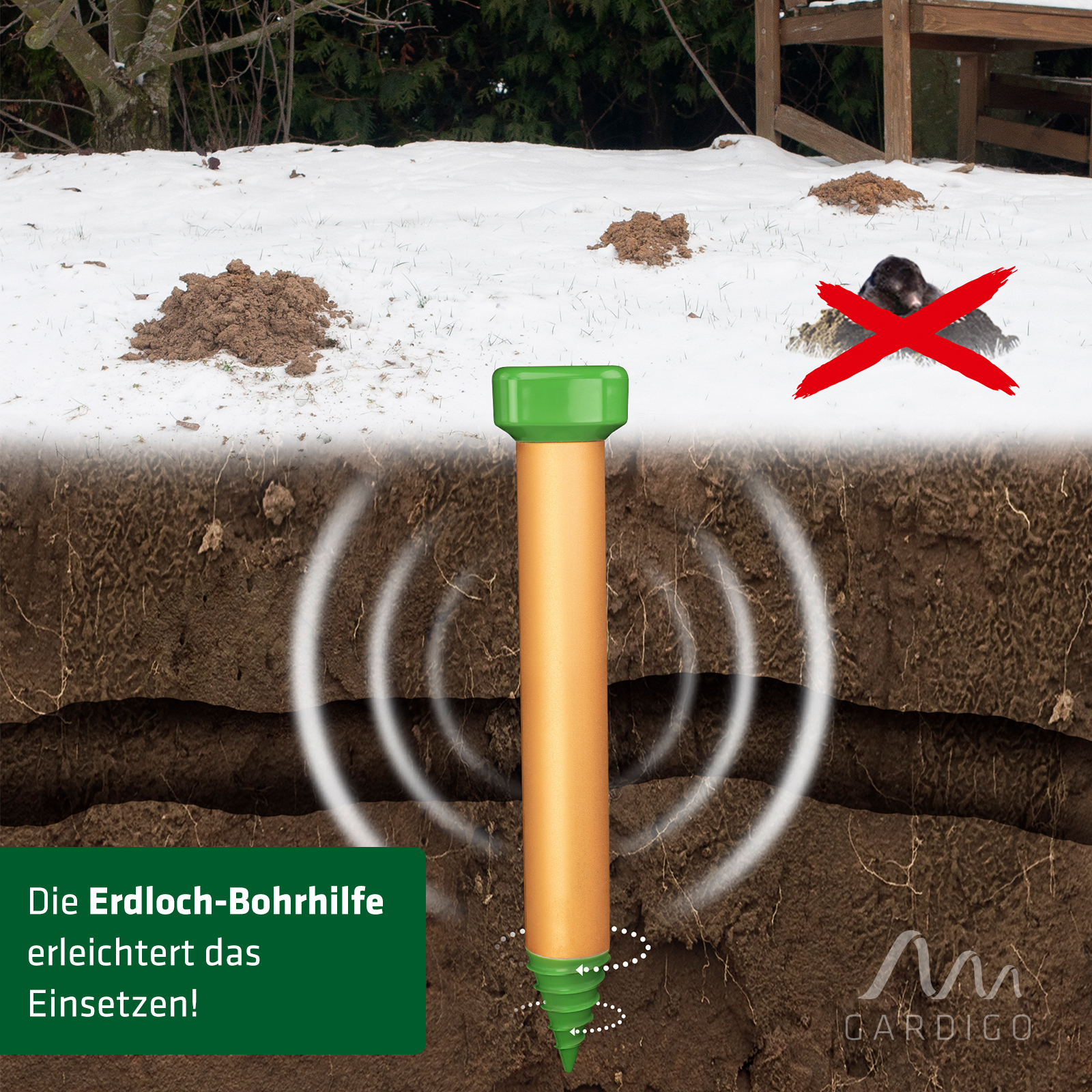 maulwurfschreck-winter-70052 Auch im frühen und späten Winter können Maulwürfe aktiv sein und in Ihrem Garten auftauchen.