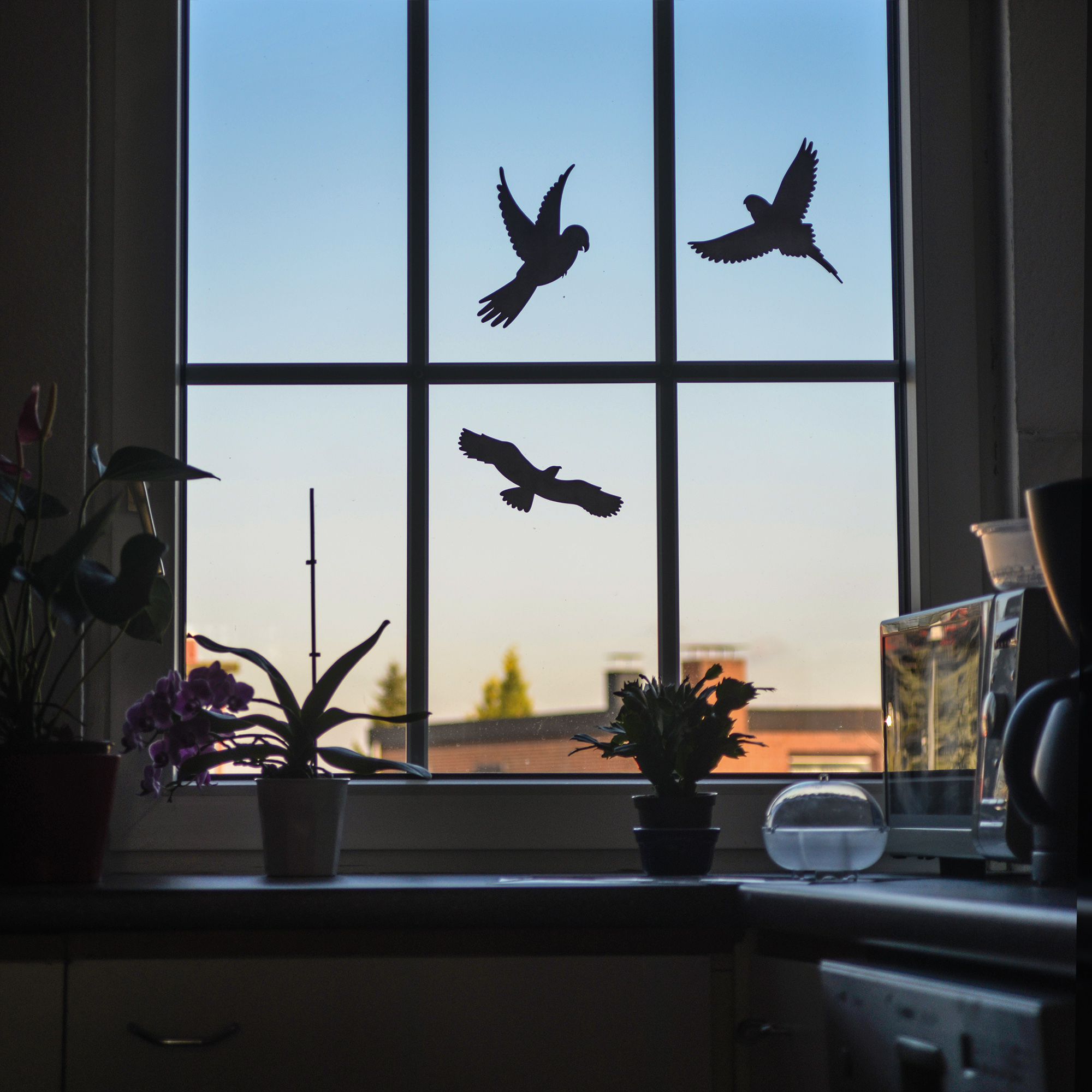 60088-Vogel-Silhouetten-Vogelschutzfolie-Voegel-fuer-Fenster Fenster sind für Vögel selten gut zu erkennen und deshalb fliegen sie unbeabsichtigt dagegen und verletzen sich.