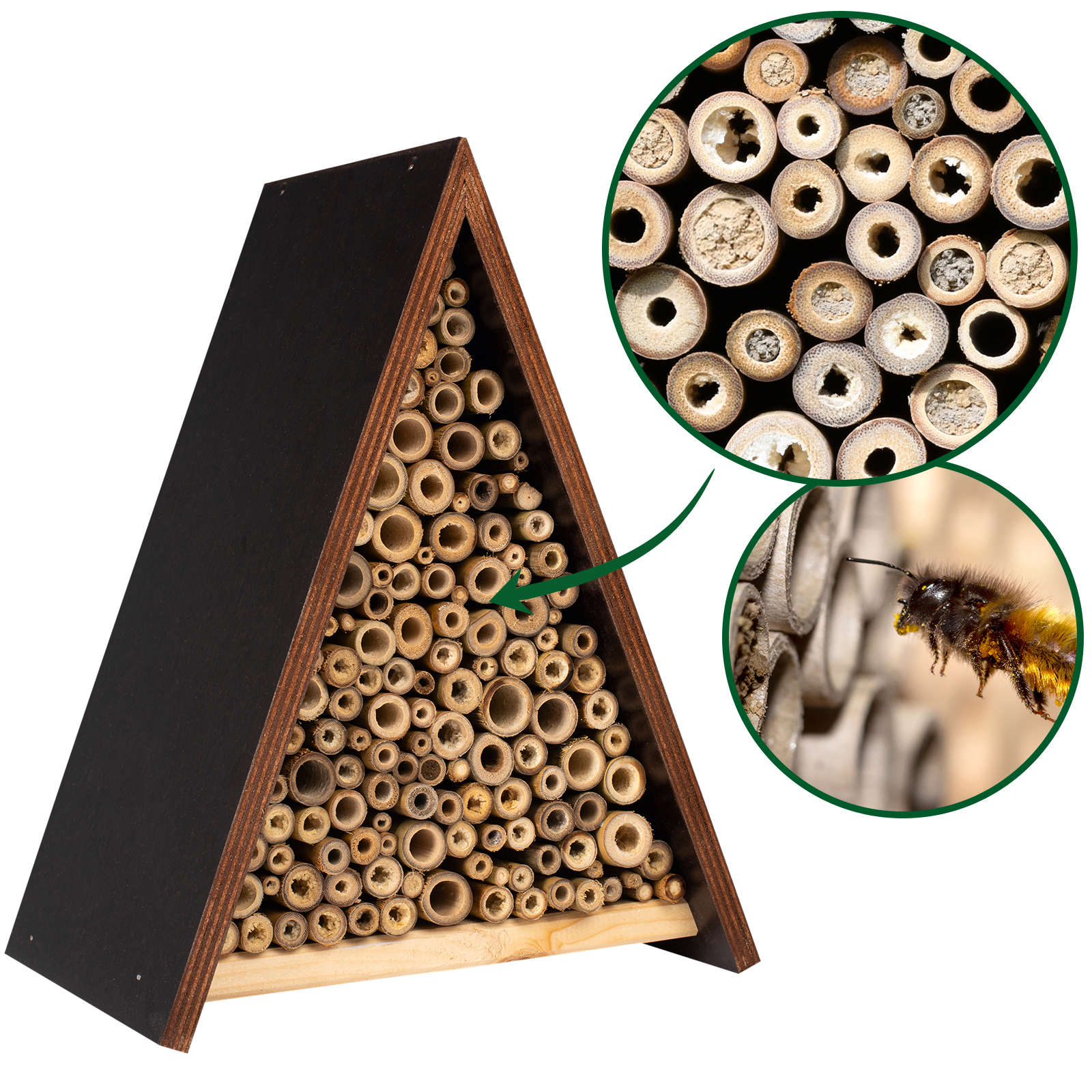 Die Bienen legen ihre Eier in die Bambusröhren und verschließen die Löcher dann von Außen. 