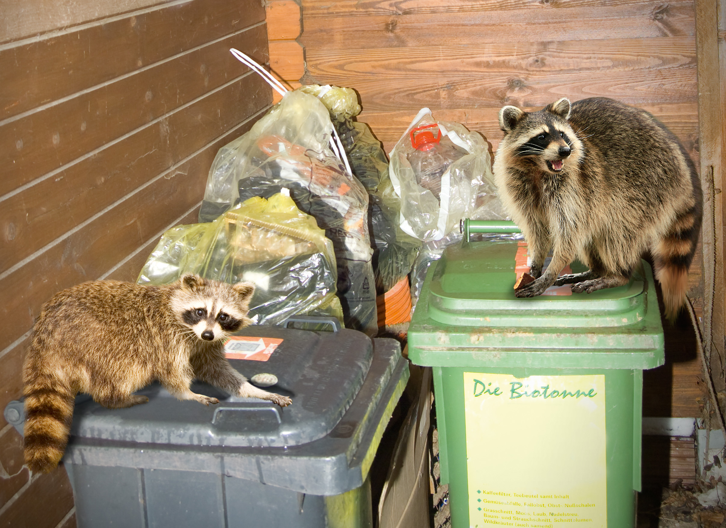 Außerdem haben sich die Tiere schon sehr an den Menschen gewöhnt und kommen uns immer näher. 