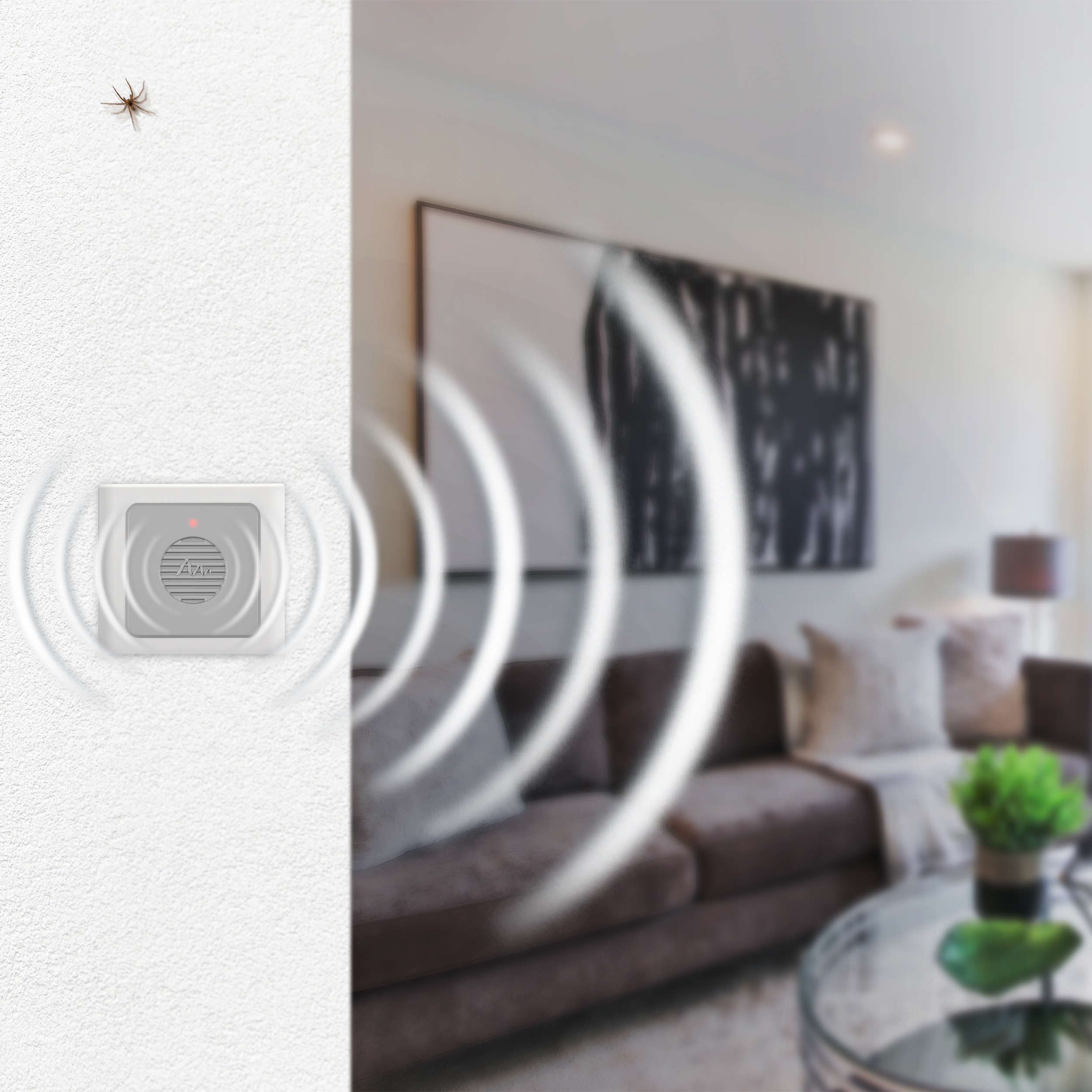 spinnen-vertreiben-wohnzimmer-66982 Auch aus dem Wohnzimmer möchte man Spinnen fernhalten.