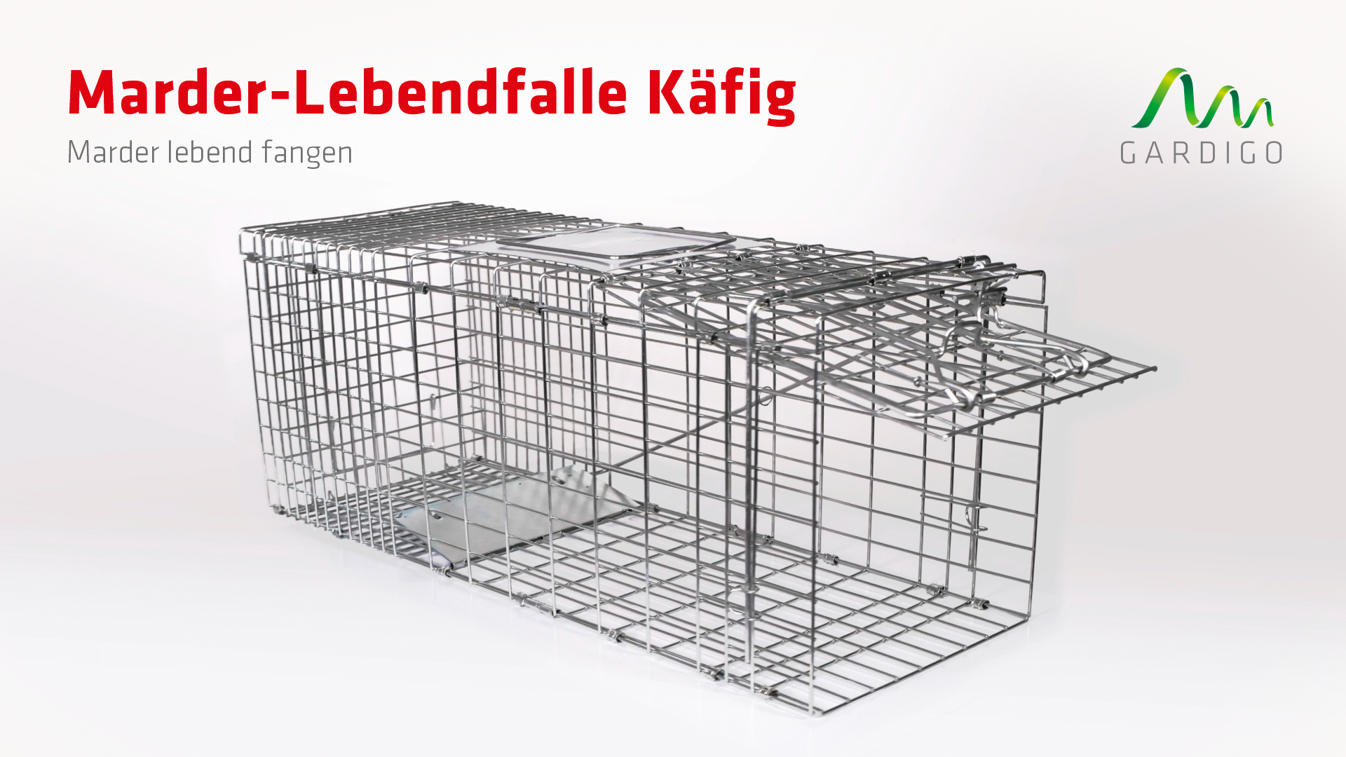 marderfalle-62360_video_thumbnail