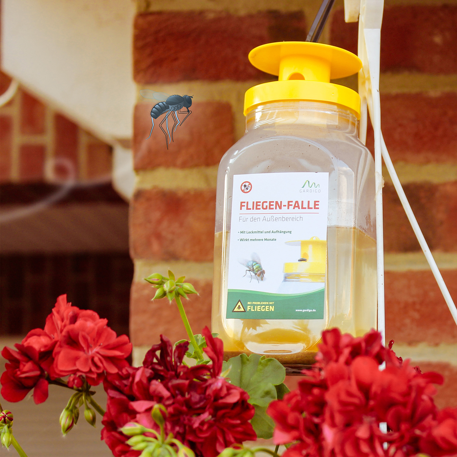 66805-fliegen-falle-haengend-garten Die Lockwirkung beginnt nach ein bis zwei Tagen und hält dann mehrere Monate an.