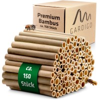 Bambus für Insektenhotels – Premium-Qualität von GARDIGO.