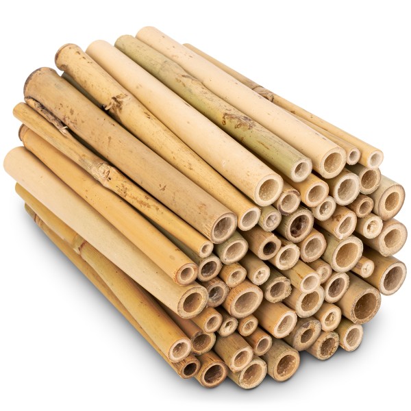 Bambus-Stäbe für Insektenhotels 150 Stück – die Bambus-Röhren in drei verschiedenen Größen für Wildbienen von Gardigo