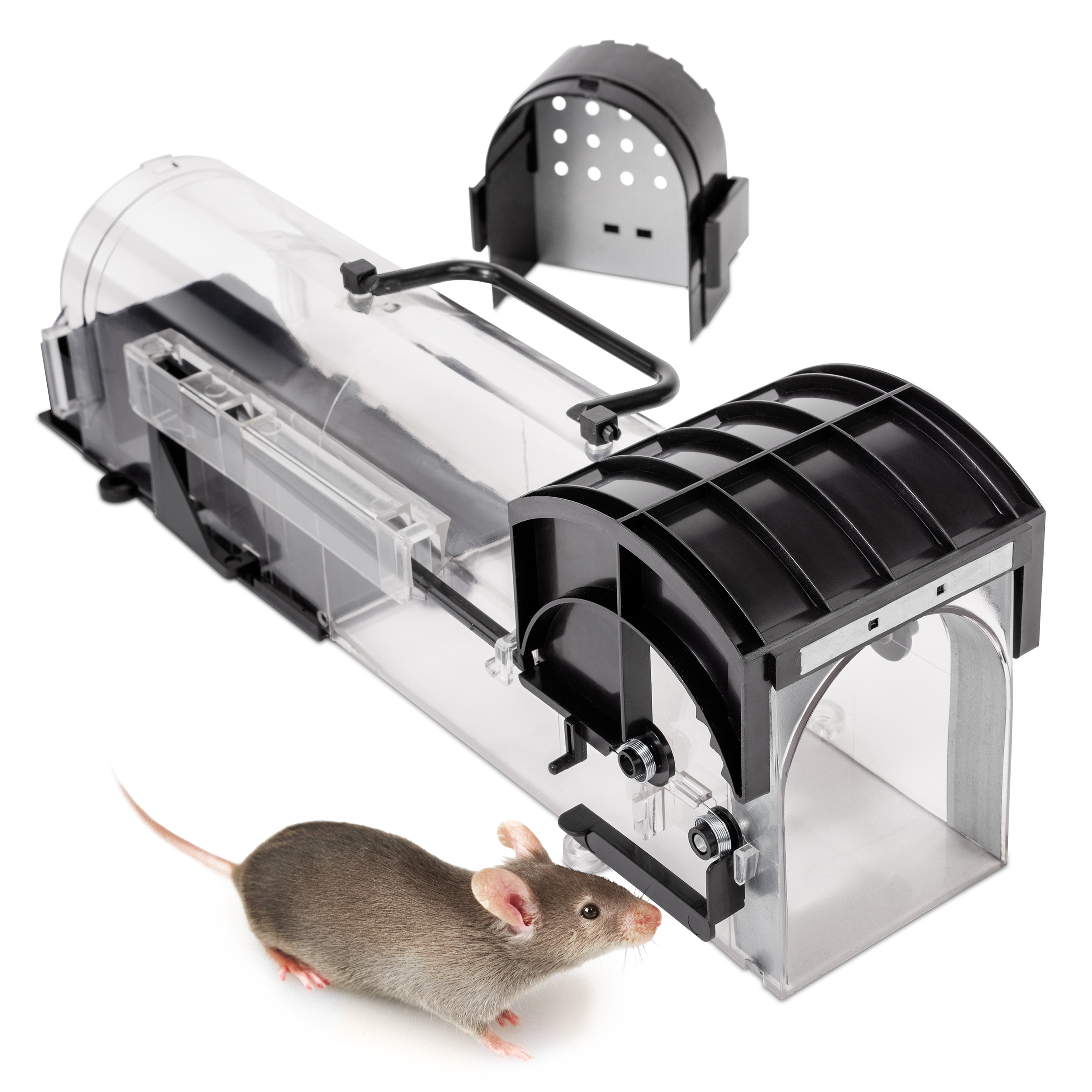 Suchergebnis Auf  Für: Lebendfalle Maus