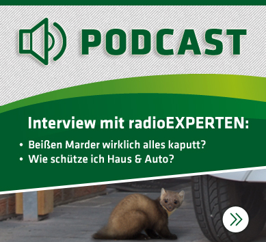 Download: Audiopodcast Marder