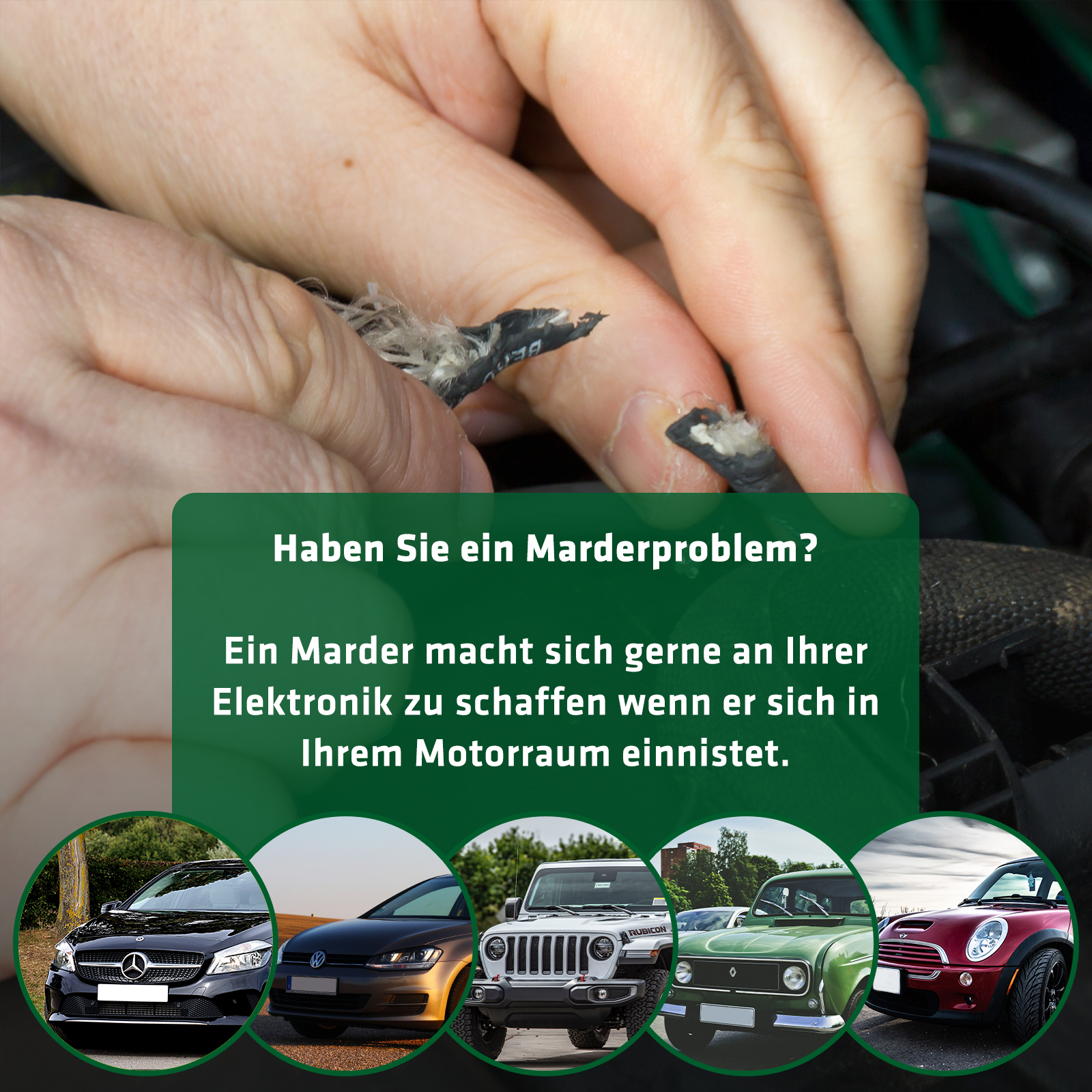 Veddelholzer Marderspray für Auto, Dachboden & Garage