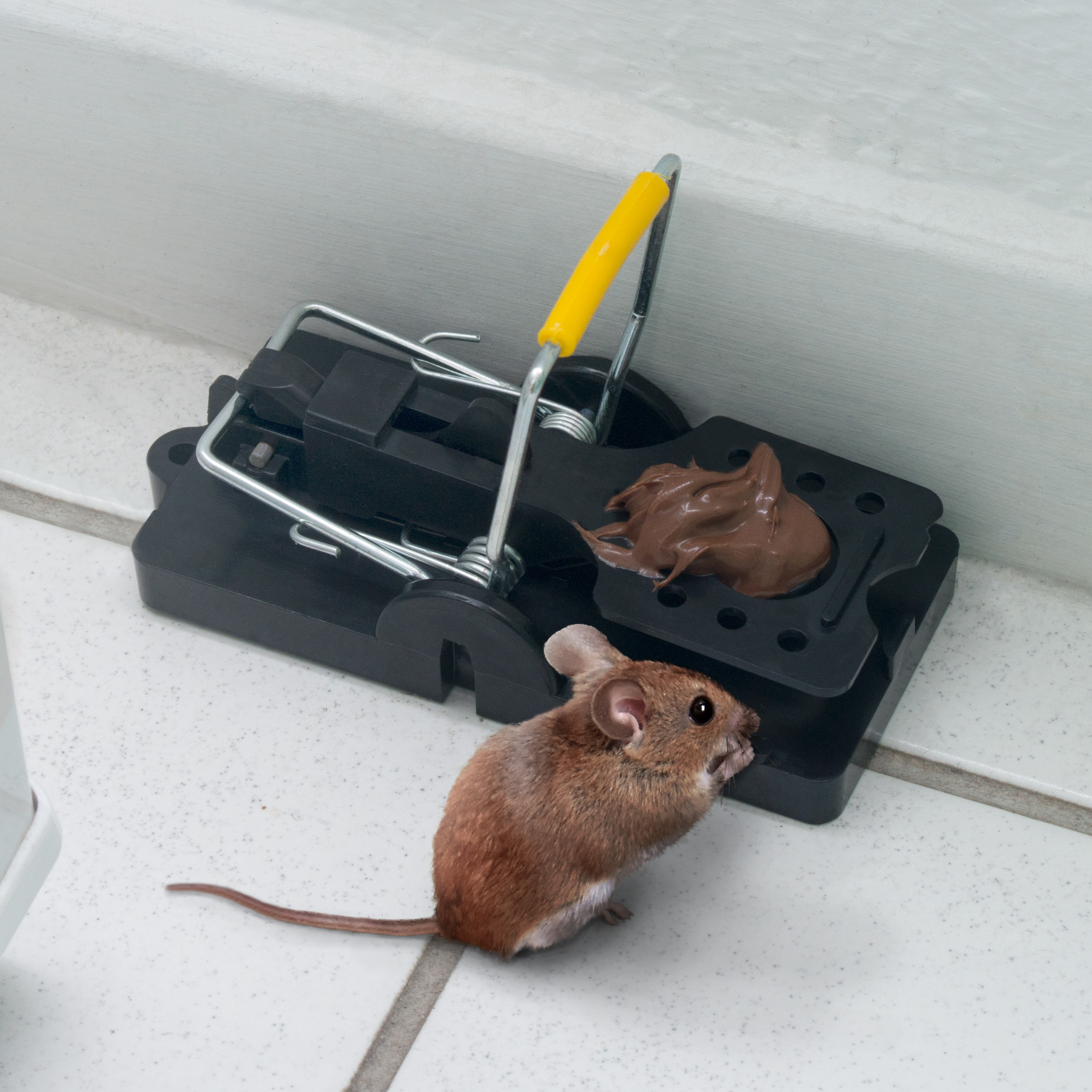 2er Set Maus-Weg-Falle hygienische Schlagfalle Mäuse Mäusevertreiber 