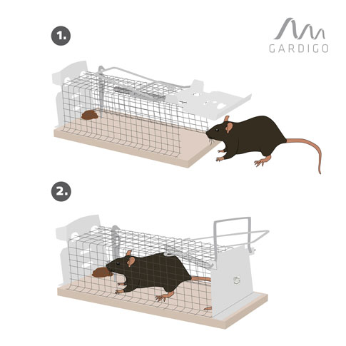 Lebendfalle 500 mm Rattenfalle Mausefalle für Mäuse und Ratten Einzelne Eingänge 