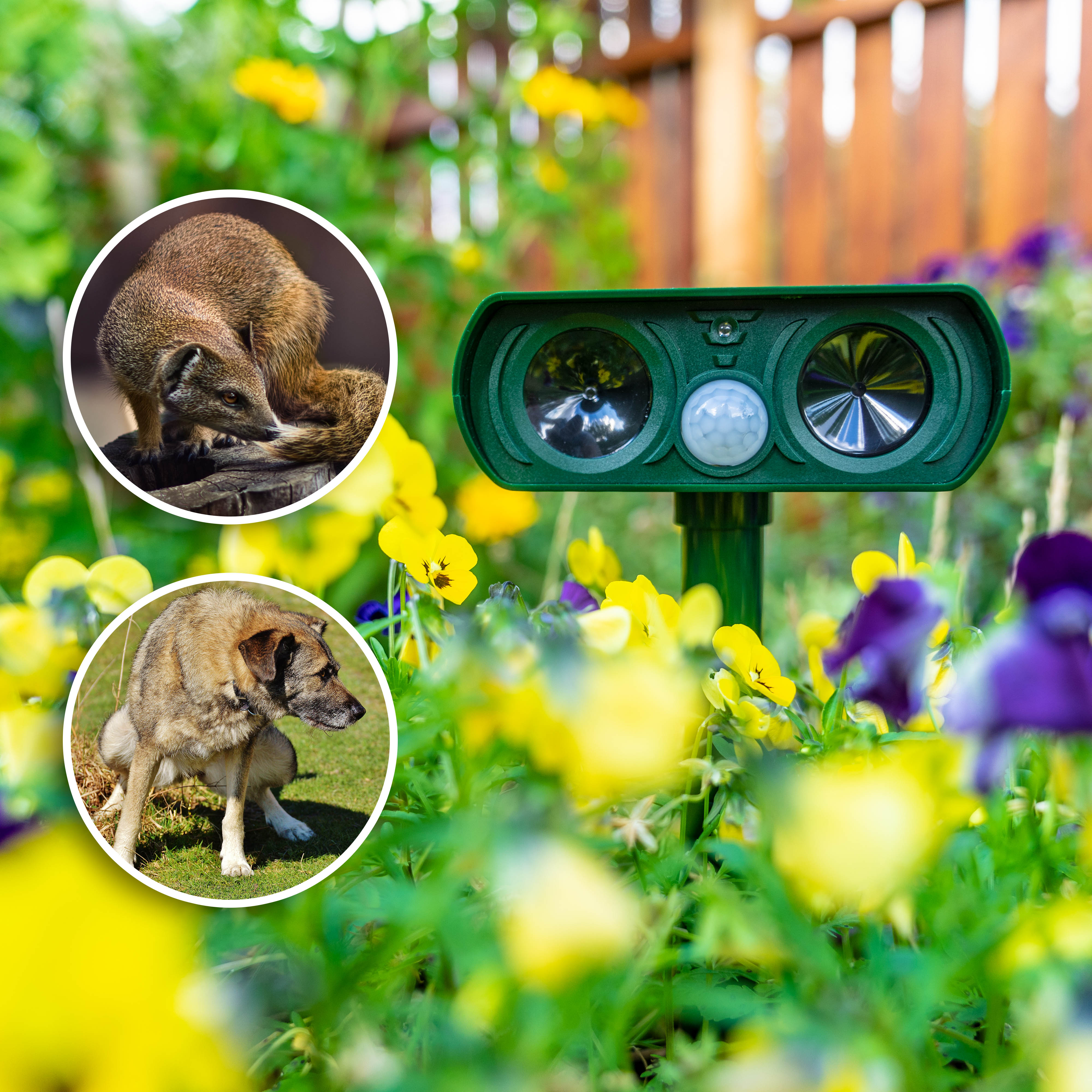 Ultraschall Solar Tiervertreiber, Katzenschreck für Garten,Marderschreck  bis zu 10m Reichweite (Grün) : : Garten