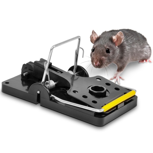 Die Kunststoff-Rattenfalle von GARDIGO – robuste Schlagfalle gegen Ratten