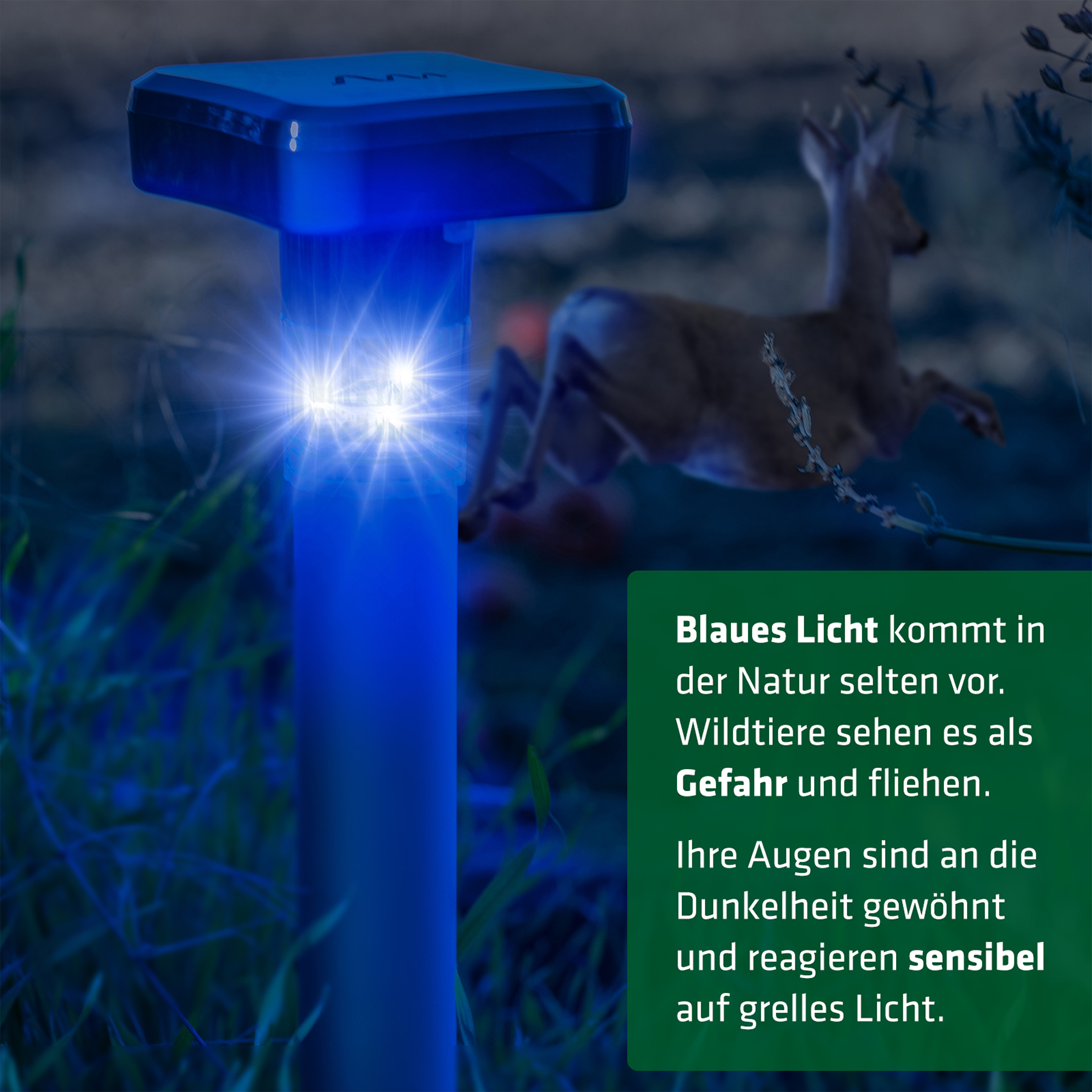 Wildtier-Vertreiber 360°, Wild vertreiben mit blauem Licht