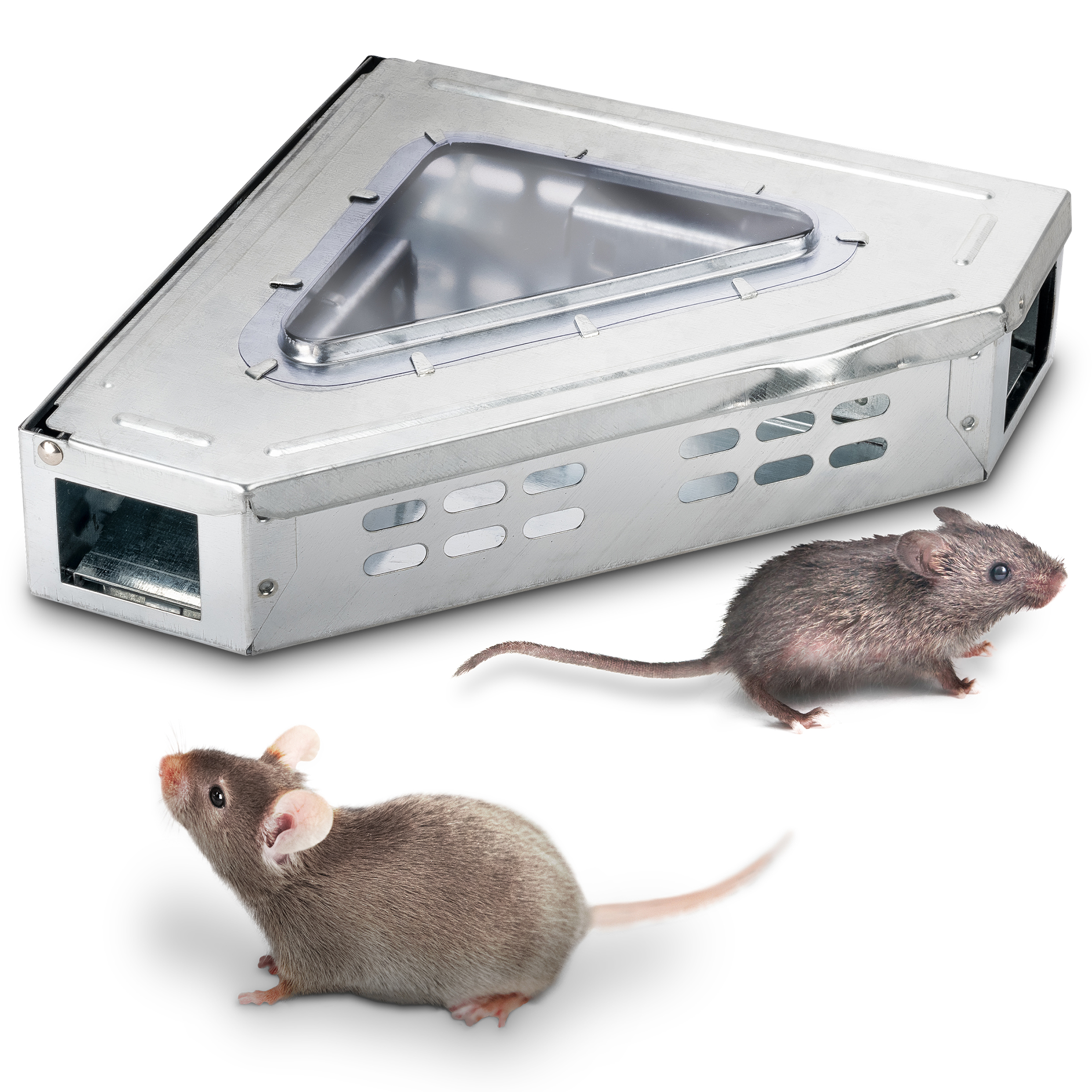 Maus-Eck-Falle, mehrere Mäuse fangen, Eckmausefalle, Lebendfalle