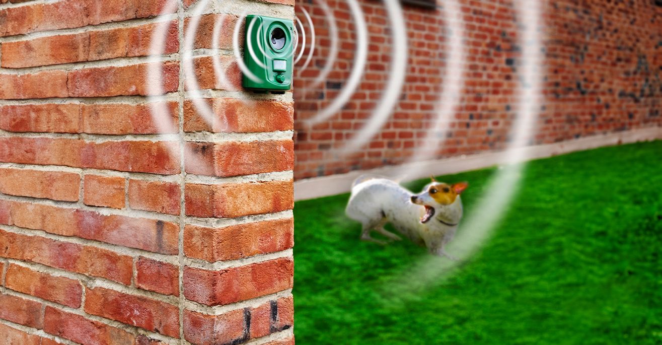 Hunde Mit Ultraschall Vertreiben